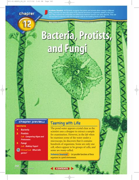 Chapter 12 Bacteria Protists And Fungi