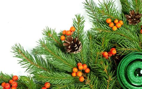 Новогодние 1 | New years tree, Cone christmas trees, Christmas branches