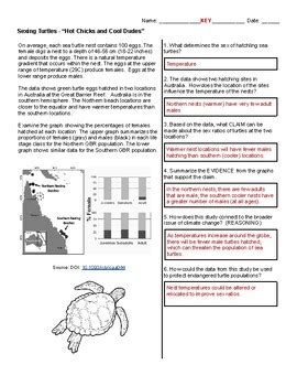 Sexing Turtles Hot Chicks And Cool Dudes CER By Biologycorner