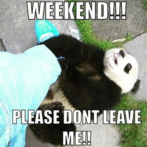Weekend Memes Funny Weekend Pictures And Images