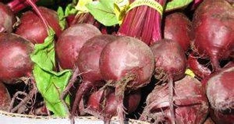 How To Make Red Beet Wine Our Everyday Life