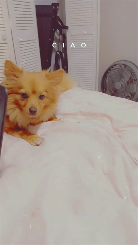 Th July Nude Pics XHamster