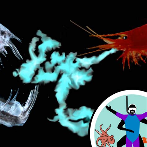 Glittering Seas The Science Of Ocean Bioluminescence Naked Oceans From The Naked Scientists