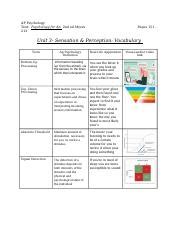 Unit 3 Sensation Perception Vocab Assignment Docx AP Psychology