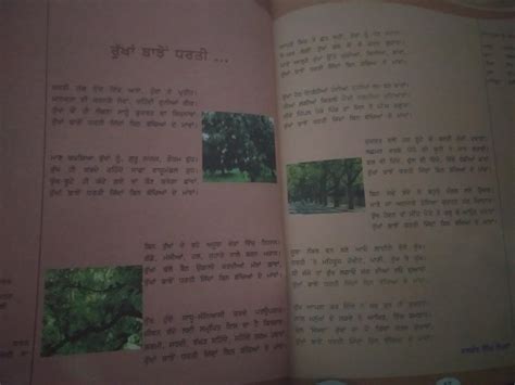 Poem On Save Trees In Punjabi Language Brainly In