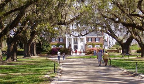 The Ultimate Charleston Plantation Guide