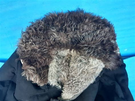 Тулуп из натуральной овчины, palton haină din piele naturală de oaie ...