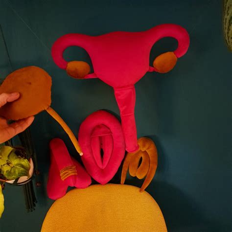 Vulva Clitoris Uterus Bladder And Penis Pillow Set Pink Plushy Puppets For Sex Education