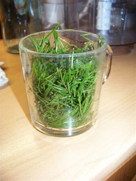 Еловая водка - Напитки