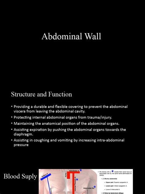 abdominal wall