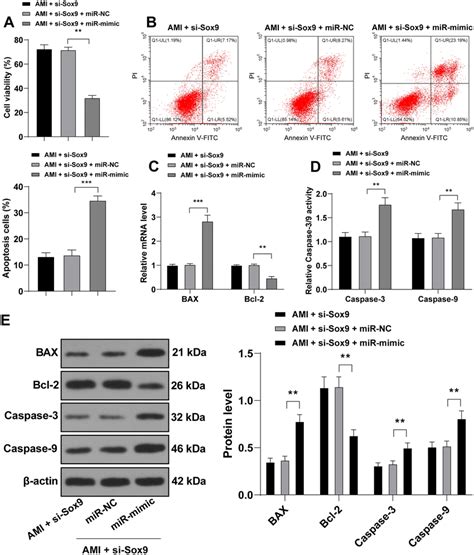 miR-223-3p overexpression neutralizes the protective role of Sox9 ...