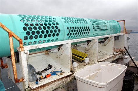 Higher profits through uniform products - Eurofish