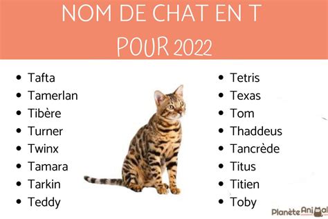 De 200 IdÉes De Noms De Chat En T