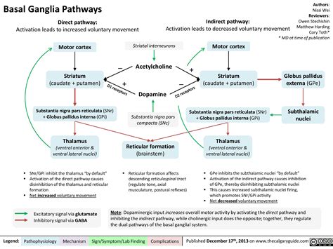 Basal Ganglia Pathways | Calgary Guide