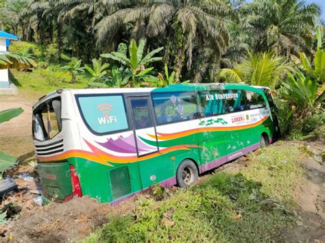 Bus Lorena Kecelakaan Tunggal Di Inhu Begini Kronologinya