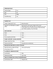 Unit Lab Docx Demographics Patient Initials B L Age Sex Male Race Ethnicity Aa