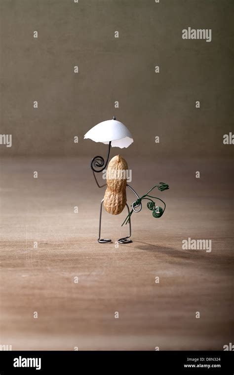 Taking a Walk Stock Photo - Alamy