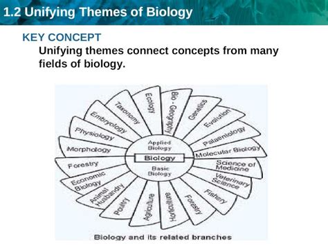 PPT 1 2 Unifying Themes Of Biology KEY CONCEPT Unifying Themes