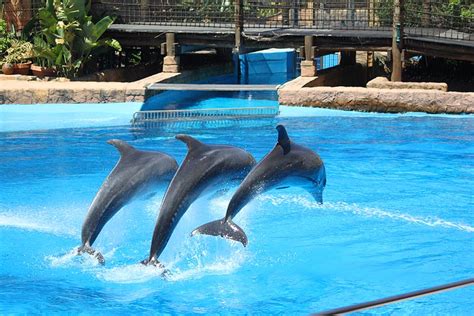 Ushaka Marine World Entrance Fee
