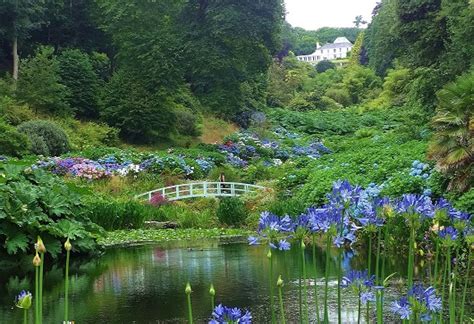 30 Best Gardens In Cornwall Great British Gardens