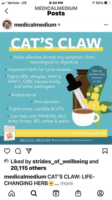 pin  laurie merola lee  medical medium medical medium strep