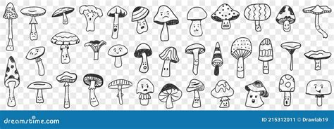 Mushroom Doodle Set Various Mushrooms Hand Drawn Sketch Champignon