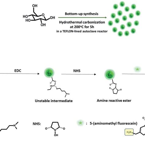 A Schematic Representation Of The Bottom Up Carbon Dot Synthesis Via Download Scientific