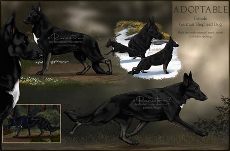 Dog Adoptable German Shepherd By Runestorm7 On Deviantart