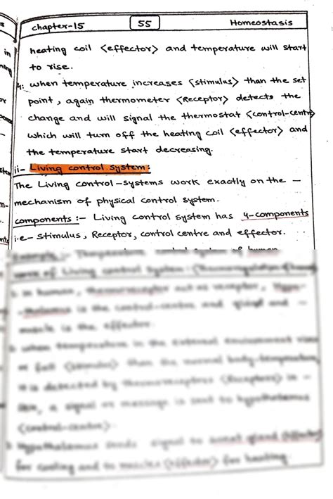 Solution Chapter Homeostasis Notes Studypool