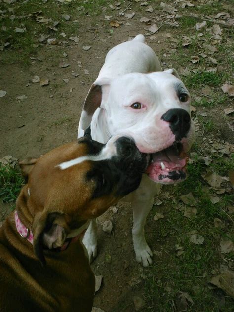 Leo And Phoebe