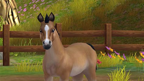 SSO | Wiki | Star Stable Online Amino