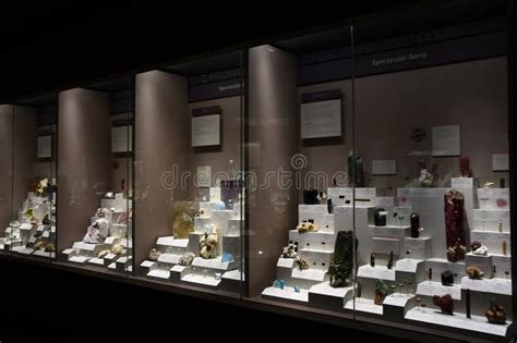 Smithsonian National Museum Of Natural History In Washington Dc