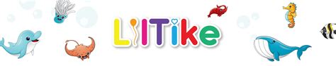 Amazon.com: LilTike