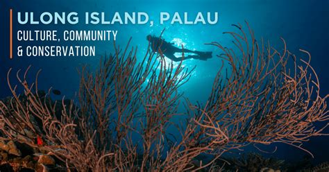 island conservation ulong island culture community  conservation