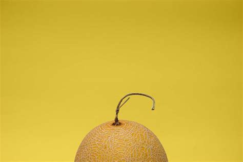 ide olahan makanan  minuman berbahan buah melon