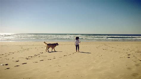 Caras Cláudia Vieira Passeio a filha e o cão na praia