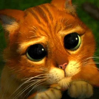 Cd Fucked Shemale Porn Xhamster