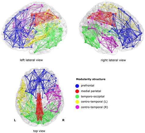 Brain Modularity