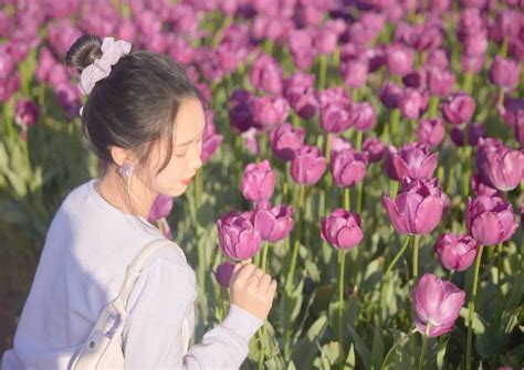 美爆！丽水这片郁金香花海藏不住了王金洪云和品种