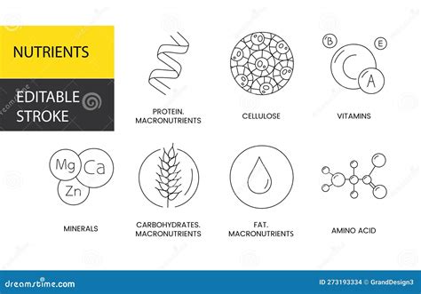 Nutrients Vector Line Icon Illustration Of Protein And Fiber Vitamins