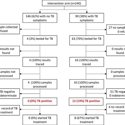 Tb Testing Flowchart At Study Enrolment Among 298 Slate I Intervention