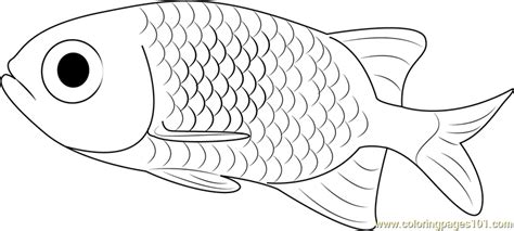 Small Fish Coloring Page Free Other Fish Coloring Pages