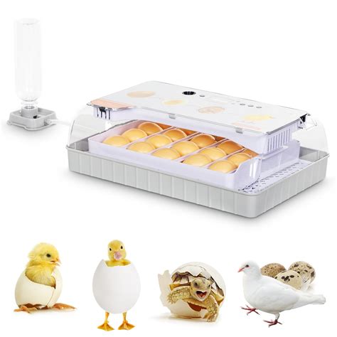 Buy Egg Incubators For Hatching Eggs Chicken Egg Incubator With