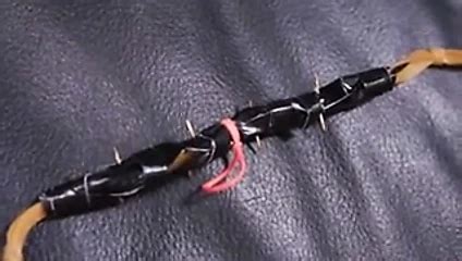 Cunt Busters Nastee Queensnake Queensect BDSM Porn XHamster