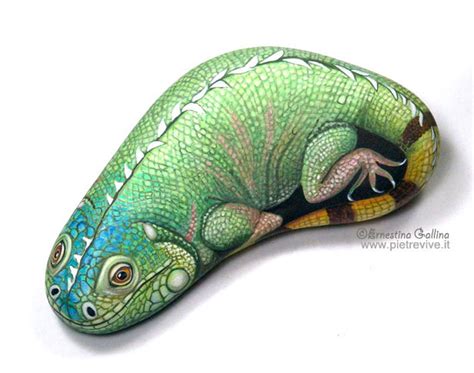 Оживляющая камни. Обсуждение на LiveInternet - Российский Сервис Онлайн ...