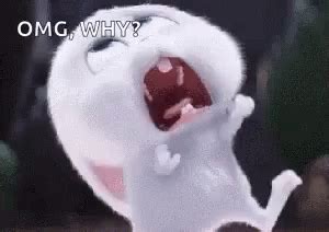 Why But Why GIF - Why But Why Omg - Discover & Share GIFs