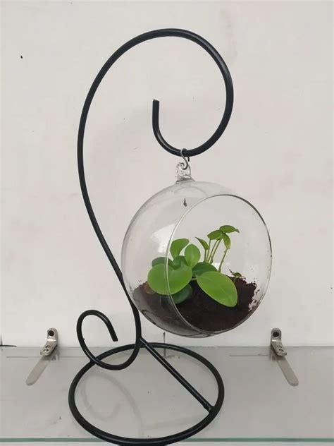 Hanging Garden at Rs 850 | New Delhi | ID: 26202566930