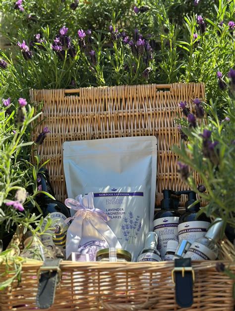 Norfolk Lavender | Heacham