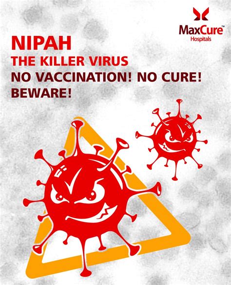 Medicover Hospitals On Twitter Nipah The Killer Virus No Vaccination