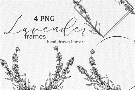 Lavender Line Drawing Floral Line Art Graphic By Caraulanstore